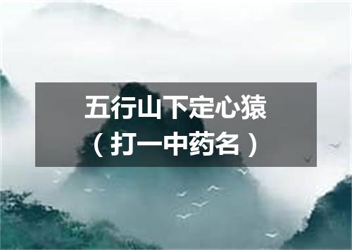 五行山下定心猿（打一中药名）