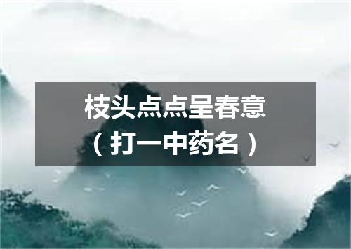 枝头点点呈春意（打一中药名）