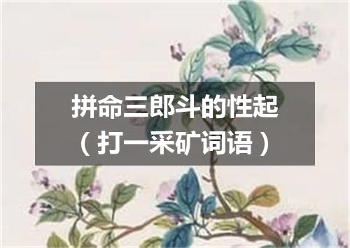 拼命三郎斗的性起（打一采矿词语）