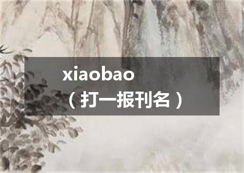 xiaobao（打一报刊名）