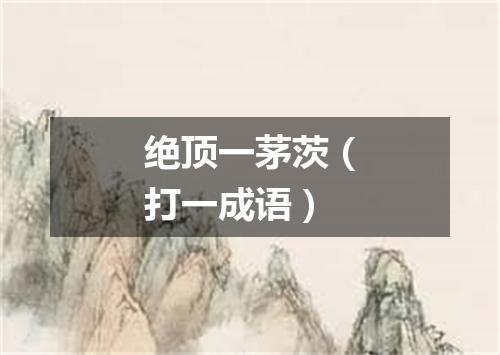 绝顶一茅茨（打一成语）