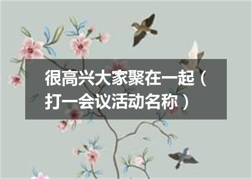很高兴大家聚在一起（打一会议活动名称）