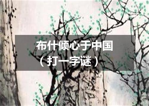 布什倾心于中国（打一字谜）