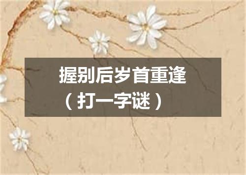 握别后岁首重逢（打一字谜）