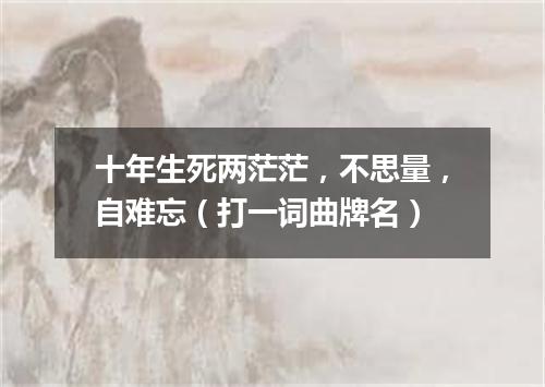 十年生死两茫茫，不思量，自难忘（打一词曲牌名）