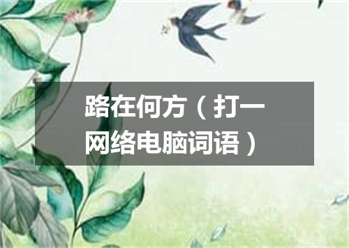 路在何方（打一网络电脑词语）