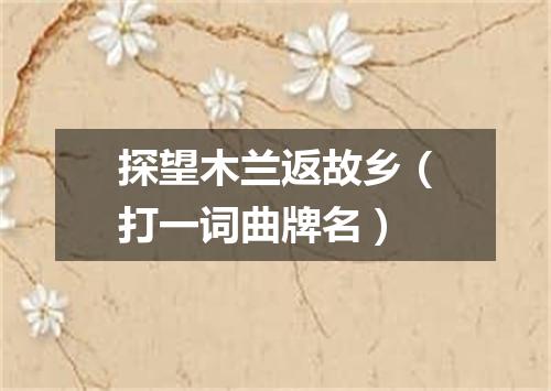 探望木兰返故乡（打一词曲牌名）