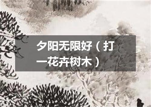 夕阳无限好（打一花卉树木）