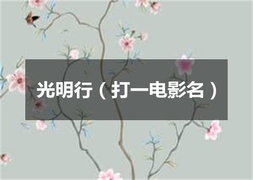 光明行（打一电影名）