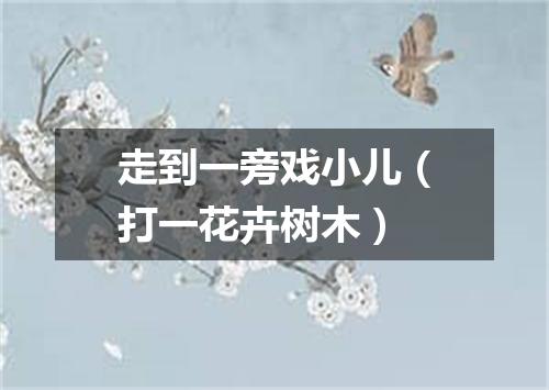 走到一旁戏小儿（打一花卉树木）