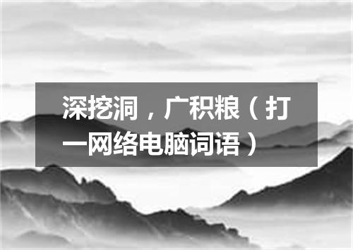 深挖洞，广积粮（打一网络电脑词语）
