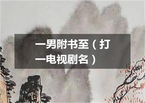 一男附书至（打一电视剧名）