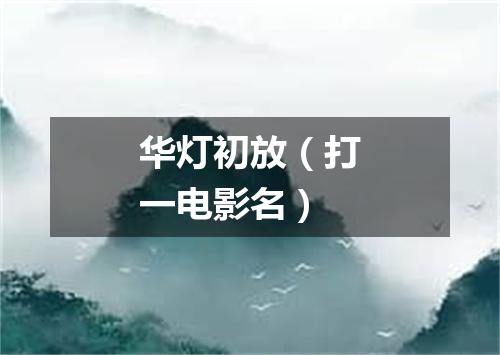 华灯初放（打一电影名）