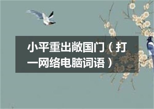 小平重出敞国门（打一网络电脑词语）