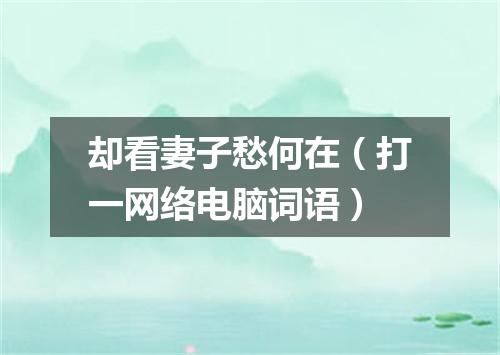 却看妻子愁何在（打一网络电脑词语）