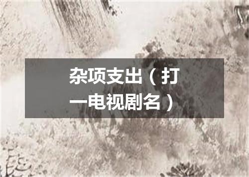 杂项支出（打一电视剧名）