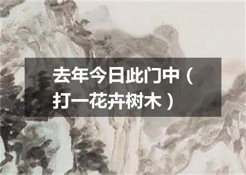 去年今日此门中（打一花卉树木）