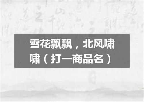 雪花飘飘，北风啸啸（打一商品名）