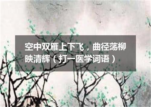 空中双雁上下飞，曲径荡柳映清辉（打一医学词语）
