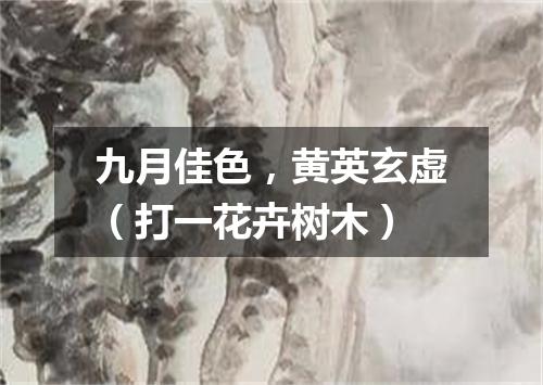 九月佳色，黄英玄虚（打一花卉树木）