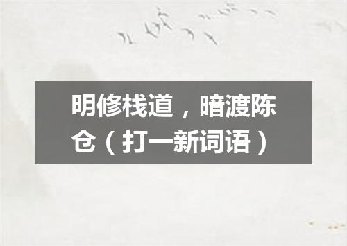 明修栈道，暗渡陈仓（打一新词语）