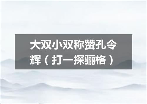 大双小双称赞孔令辉（打一探骊格）