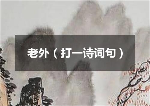 老外（打一诗词句）