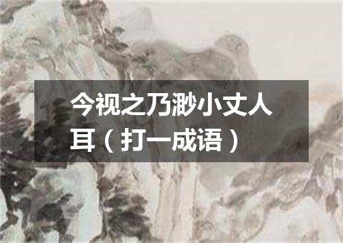 今视之乃渺小丈人耳（打一成语）