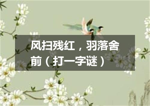 风扫残红，羽落舍前（打一字谜）