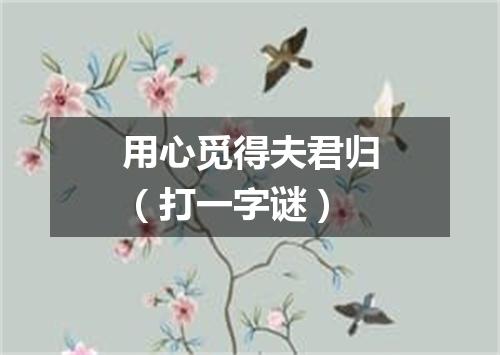 用心觅得夫君归（打一字谜）