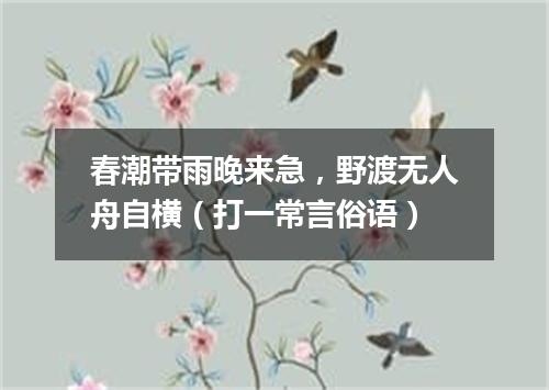 春潮带雨晚来急，野渡无人舟自横（打一常言俗语）