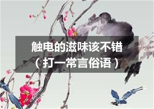 触电的滋味该不错（打一常言俗语）