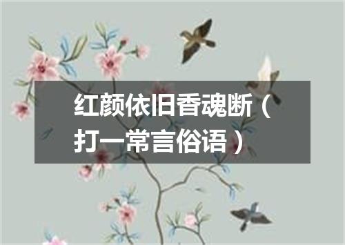 红颜依旧香魂断（打一常言俗语）