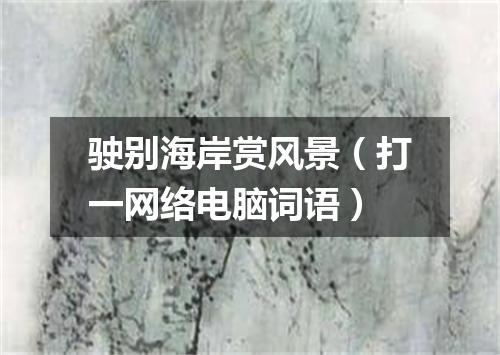驶别海岸赏风景（打一网络电脑词语）
