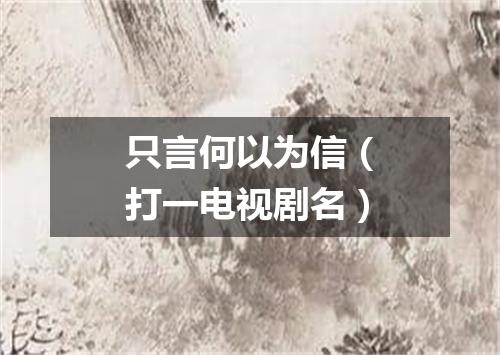 只言何以为信（打一电视剧名）