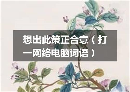 想出此策正合意（打一网络电脑词语）
