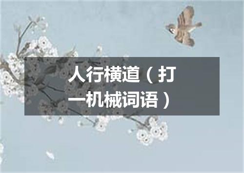 人行横道（打一机械词语）