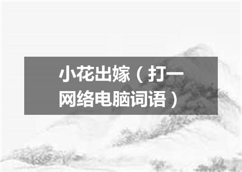 小花出嫁（打一网络电脑词语）