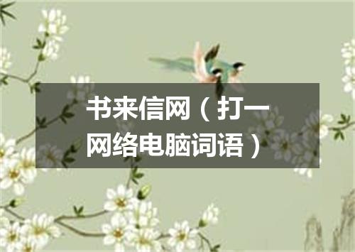 书来信网（打一网络电脑词语）