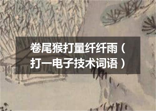 卷尾猴打量纤纤雨（打一电子技术词语）