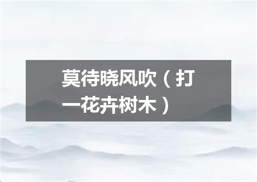 莫待晓风吹（打一花卉树木）