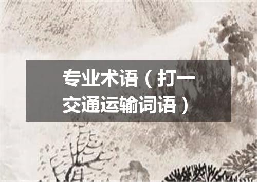 专业术语（打一交通运输词语）