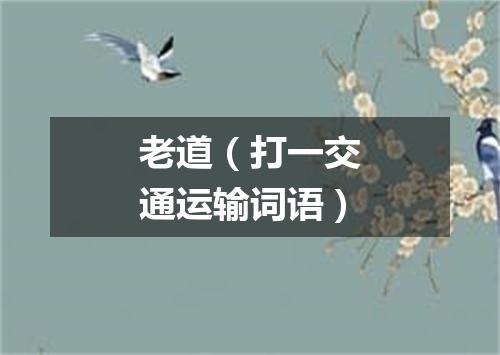 老道（打一交通运输词语）