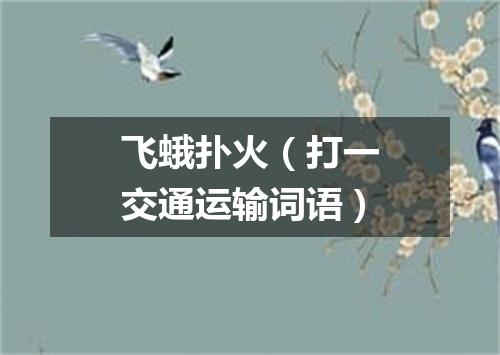 飞蛾扑火（打一交通运输词语）