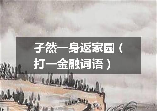 孑然一身返家园（打一金融词语）