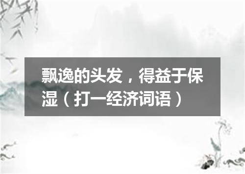 飘逸的头发，得益于保湿（打一经济词语）