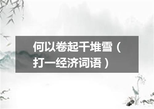 何以卷起千堆雪（打一经济词语）