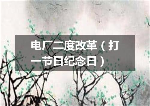 电厂二度改革（打一节日纪念日）