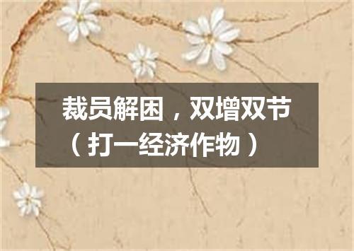 裁员解困，双增双节（打一经济作物）