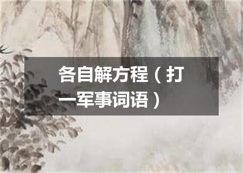 各自解方程（打一军事词语）